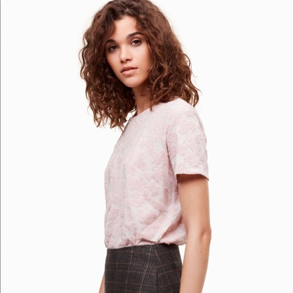 ARITZIA Wilfred Light Pink Textured Sheer Short Sleeve Crew Neck Shirt Small